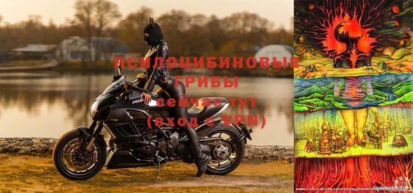 мдпв Иннополис