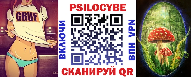 Купить  Закаменск  Галлюциногенные грибы мицелий 