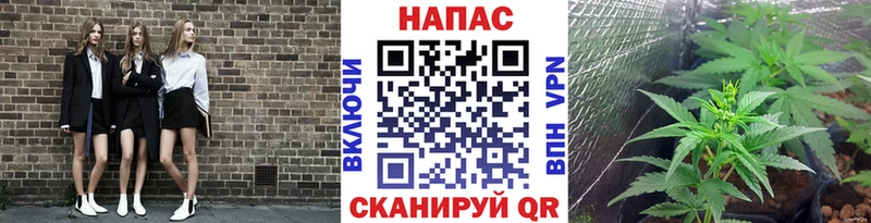Купить  Закаменск  Бошки марихуана Bruce Banner 